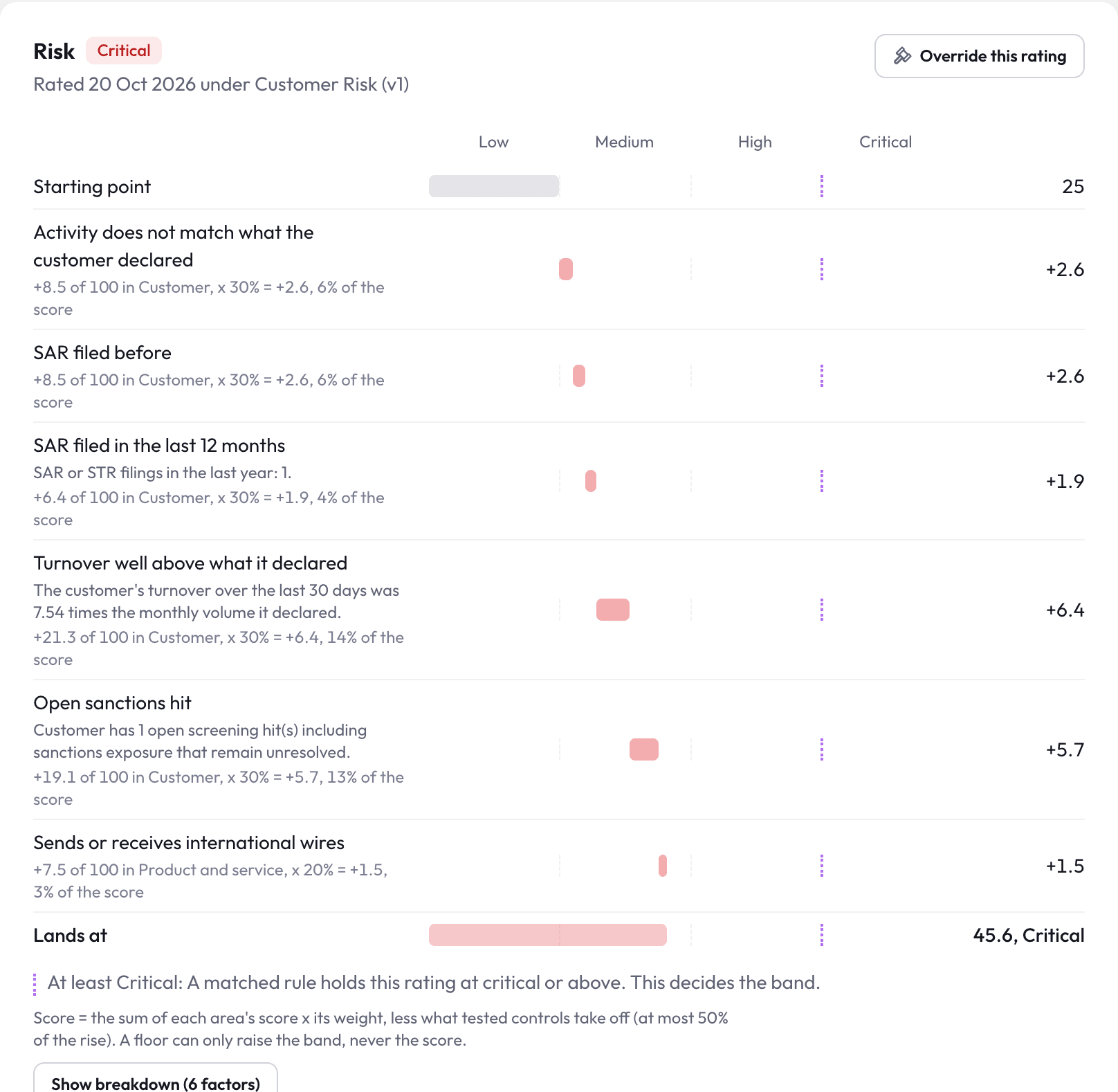 A critical customer risk rating broken down factor by factor, each showing its risk area and weight