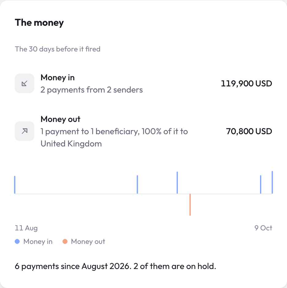 Nex AML case showing money in and out for the 30 days before the alert fired